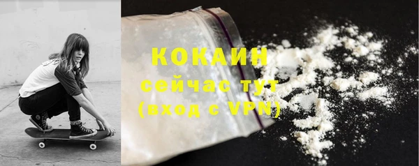прущие грибы Армянск