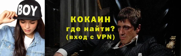 прущие грибы Армянск