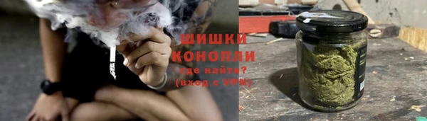 прущие грибы Армянск